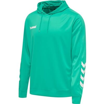 hummel herr Hmlpromo poly huvtröja sweatshirt hummel herr Hmlpromo poly huvtröja sweatshirt