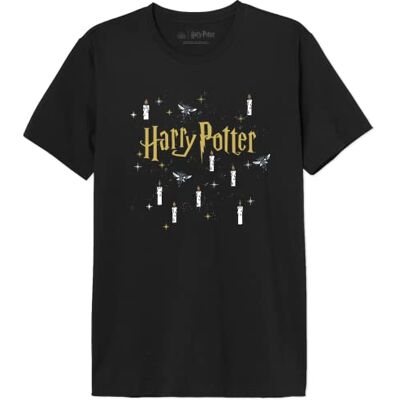 Harry Potter T-shirt herr, svart, 3XL Harry Potter T-shirt herr, svart, 3XL