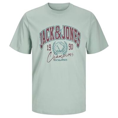 JACK & JONES JACK&JONES JORPALMS Tee SS Crew Neck STYD, Grå mist, L JACK & JONES JACK&JONES JORPALMS Tee SS Crew Neck STYD, Grå mist, L