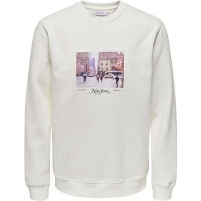 Only & Sons Onsrobert Reg Photo Crew Neck SWT Vd Sweatshirt, Molndansare, L Only & Sons Onsrobert Reg Photo Crew Neck SWT Vd Sweatshirt, Molndansare, L