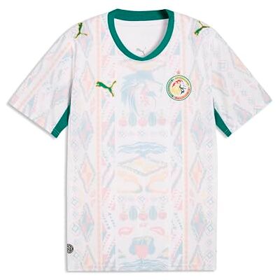 PUMA FSF Home Jersey kopia PUMA FSF Home Jersey kopia