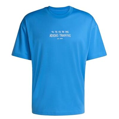 adidas Mezczyzni CLIMACOOL POWER TRAINING GRAPHIC T-SHIRT, ray blue, L adidas Mezczyzni CLIMACOOL POWER TRAINING GRAPHIC T-SHIRT, ray blue, L
