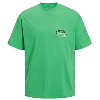 JACK & JONES Herr JORBRINK Studio Back Tee SS Crew Neck T-shirt, Island Green, L, Ögrön, L JACK & JONES Herr JORBRINK Studio Back Tee SS Crew Neck T-shirt, Island Green, L, Ögrön, L