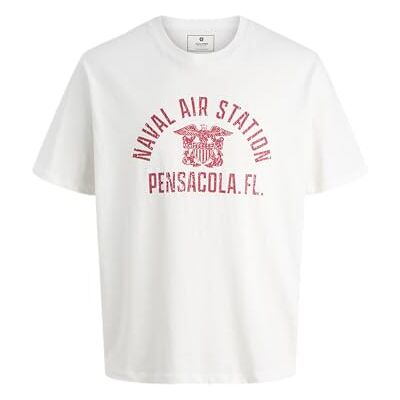 JACK & JONES Jprblupete Ss Tee, Molndansare, L JACK & JONES Jprblupete Ss Tee, Molndansare, L