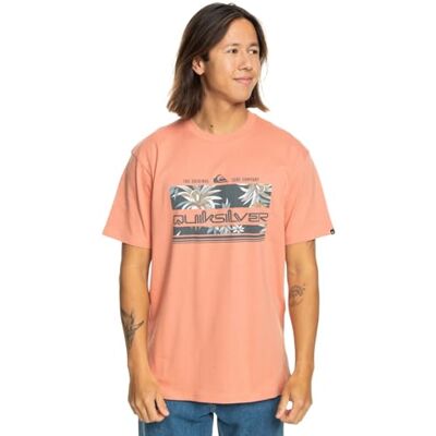 Quiksilver T-tröja Män Rosa XS Quiksilver T-tröja Män Rosa XS