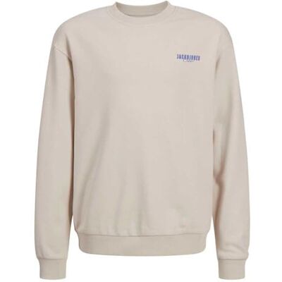 JACK & JONES Pojkar Jjstyd Loose Graphic Sweat C.Neck Ln Jnr sweatshirt, Beige – blå, 128 JACK & JONES Pojkar Jjstyd Loose Graphic Sweat C.Neck Ln Jnr sweatshirt, Beige – blå, 128