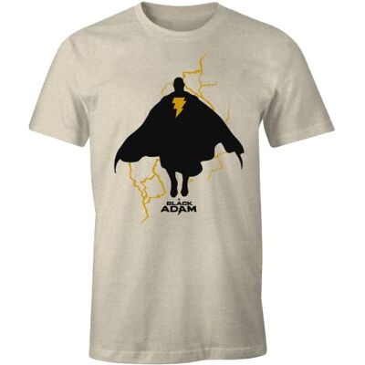 DC Comics MEBLADMTS009 T-shirt, naturlig, M herr, Naturlig, M DC Comics MEBLADMTS009 T-shirt, naturlig, M herr, Naturlig, M