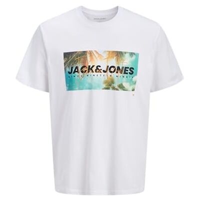 JACK & JONES Jjindiana Tee Ss Crew Neck, Ljus vit, XL JACK & JONES Jjindiana Tee Ss Crew Neck, Ljus vit, XL