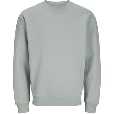 JACK & JONES JACK&JONES PLUS JJEBRADLEY Sweat Crew NOOS PLS, Isberggrön, 5XL/Stor JACK & JONES JACK&JONES PLUS JJEBRADLEY Sweat Crew NOOS PLS, Isberggrön, 5XL/Stor