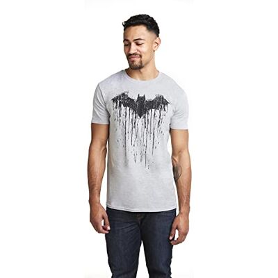 DC Comics herr Batman färg T-shirt, Sport grå, XL DC Comics herr Batman färg T-shirt, Sport grå, XL