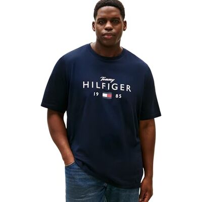 Tommy Hilfiger herr BT-märke kärlek stor Hilfiger TEE-B MW0MW43005 S/S t-shirt, blå, XXL_Plus, Blå (ökenhimmel), XXL Tommy Hilfiger herr BT-märke kärlek stor Hilfiger TEE-B MW0MW43005 S/S t-shirt, blå, XXL_Plus, Blå (ökenhimmel), XXL