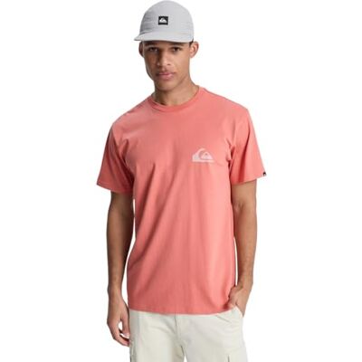 Quiksilver Kortärmad T-shirt EV Mini SS logotyp herr rosa Quiksilver Kortärmad T-shirt EV Mini SS logotyp herr rosa
