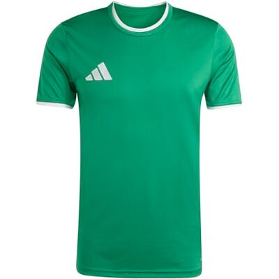 adidas herr Entrada26 Jersey Shirt, team green/white, M adidas herr Entrada26 Jersey Shirt, team green/white, M