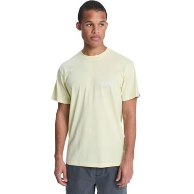 Quiksilver Kortärmad T-shirt EV Mini SS logotyp herr grön Quiksilver Kortärmad T-shirt EV Mini SS logotyp herr grön