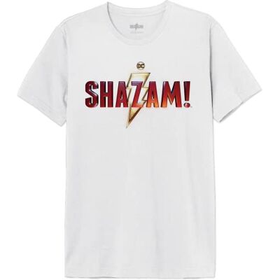 DC Comics Shazam logo film MESHAZMTS006 T-shirt för herr, vit, storlek XXL, Vitt och blått, XXL DC Comics Shazam logo film MESHAZMTS006 T-shirt för herr, vit, storlek XXL, Vitt och blått, XXL