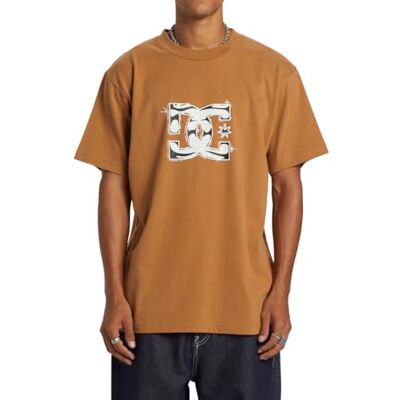 DC Shoes DC skor herr Dc Star Classic Hss T-shirt DC Shoes DC skor herr Dc Star Classic Hss T-shirt