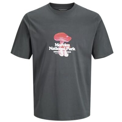 JACK & JONES JACK&JONES Jorvermont Nature Front Tee Ss Crew Neck, Skogsriver, M JACK & JONES JACK&JONES Jorvermont Nature Front Tee Ss Crew Neck, Skogsriver, M