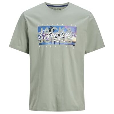JACK & JONES Jjcolton fototryck Tee Ss Crew Neck, Isberggrön, XS JACK & JONES Jjcolton fototryck Tee Ss Crew Neck, Isberggrön, XS