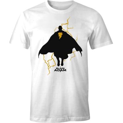 DC Comics MEBLADMTS009 T-shirt, vit, 3XL herr, Vitt och blått, 3XL DC Comics MEBLADMTS009 T-shirt, vit, 3XL herr, Vitt och blått, 3XL