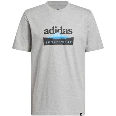 adidas Mezczyzni Sportsman Mountain Graphic T-Shirt, medium grey heather, XS adidas Mezczyzni Sportsman Mountain Graphic T-Shirt, medium grey heather, XS