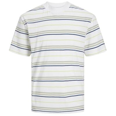 JACK & JONES JACK&JONES JCOLOTUS Stripe Tee SS Crew Neck, Vit/ränder: desert/blå/lime, S JACK & JONES JACK&JONES JCOLOTUS Stripe Tee SS Crew Neck, Vit/ränder: desert/blå/lime, S