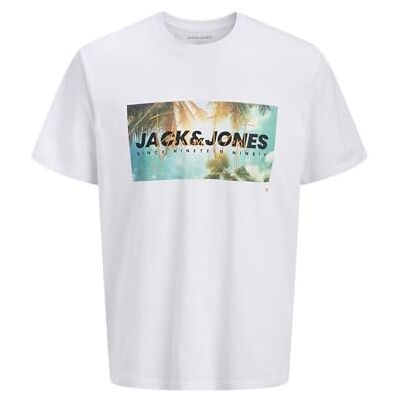 JACK & JONES Jjindiana Tee Ss Crew Neck Pls – Plus Size, Ljus vit, 3XL JACK & JONES Jjindiana Tee Ss Crew Neck Pls – Plus Size, Ljus vit, 3XL