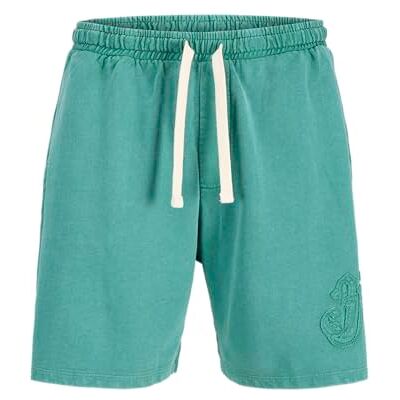 JACK & JONES Jpstbill Pop tvättade sweatshorts SRT JACK & JONES Jpstbill Pop tvättade sweatshorts SRT