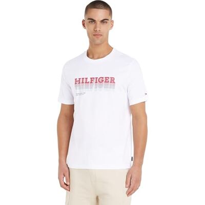 Tommy Hilfiger herr bleka Hilfiger Tee S/S T-shirts, vit, L, Vitt, L Tommy Hilfiger herr bleka Hilfiger Tee S/S T-shirts, vit, L, Vitt, L