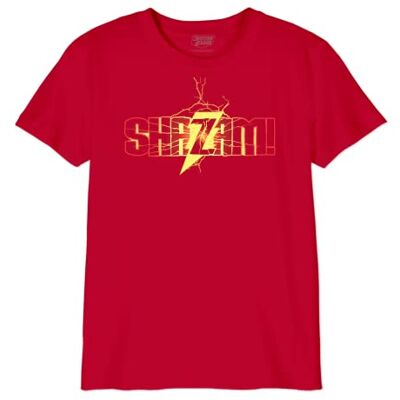 DC Comics T-shirt för pojkar, Färg: röd, 8 �r DC Comics T-shirt för pojkar, Färg: röd, 8 �r