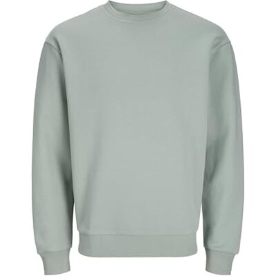JACK&JONES PLUS JJEBRADLEY Sweat Crew NOOS PLS, Isberggrön, 3XL/Stor JACK&JONES PLUS JJEBRADLEY Sweat Crew NOOS PLS, Isberggrön, 3XL/Stor