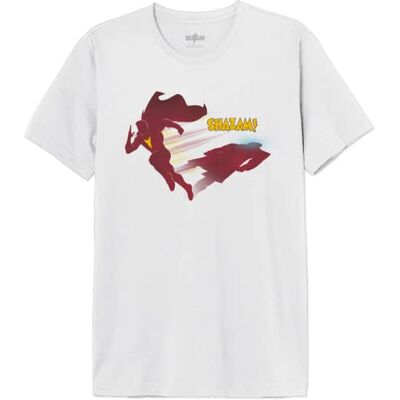 DC Comics T-shirt herr, Vitt och blått, L DC Comics T-shirt herr, Vitt och blått, L