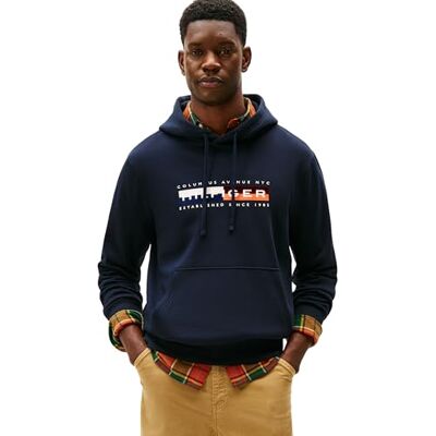 Tommy Hilfiger Herr TH FÄRG BLOCK GRAPHIC HOODIE MW0MW40041 Pullover Huvtröja, Blå, S, Blå (ökenhimmel), S Tommy Hilfiger Herr TH FÄRG BLOCK GRAPHIC HOODIE MW0MW40041 Pullover Huvtröja, Blå, S, Blå (ökenhimmel), S
