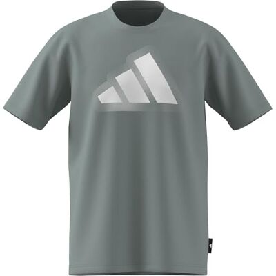 adidas Mezczyzni MODERN ESSENTIALS GRAPHIC T-SHIRT, Wonder Sage, S adidas Mezczyzni MODERN ESSENTIALS GRAPHIC T-SHIRT, Wonder Sage, S