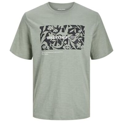JACK & JONES Jjjeff Monokrom form Tee Ss Crew Neck, Isberggrön, M JACK & JONES Jjjeff Monokrom form Tee Ss Crew Neck, Isberggrön, M