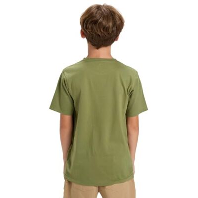 Quiksilver EV typ linje SS kortärmad T-shirt grön 16 Quiksilver EV typ linje SS kortärmad T-shirt grön 16