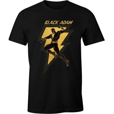 DC Comics MEBLADMTS010 T-shirt, svart, L herr, svart, L DC Comics MEBLADMTS010 T-shirt, svart, L herr, svart, L