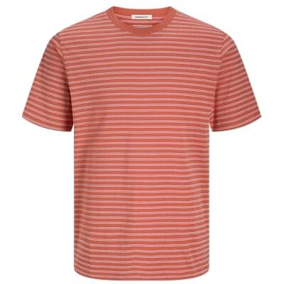JACK & JONES Jorcanggu Stripe Tee Ss Crew Neck, Sommarfikon, M JACK & JONES Jorcanggu Stripe Tee Ss Crew Neck, Sommarfikon, M