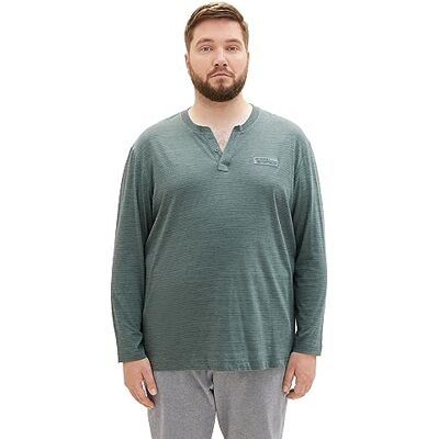 TOM TAILOR Plus långärmad t-shirt för män, 32448 – Grön dammstripy inject, XXL TOM TAILOR Plus långärmad t-shirt för män, 32448 – Grön dammstripy inject, XXL