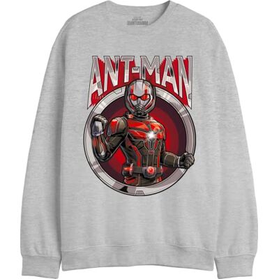 Marvel Antman Antman Circle MeantMMSW012 sweatshirt för herr, grå melange, storlek L, Melange grå, L Marvel Antman Antman Circle MeantMMSW012 sweatshirt för herr, grå melange, storlek L, Melange grå, L