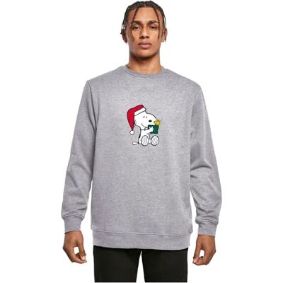 MERCHCODE Man Crewneck Peanuts Snoopy and Woodstock Basic Crewneck, normal passform, L, Grå ljung, L MERCHCODE Man Crewneck Peanuts Snoopy and Woodstock Basic Crewneck, normal passform, L, Grå ljung, L