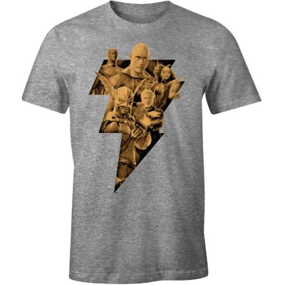 DC Comics MEBLADMTS007 T-shirt, kinesisk grå, XS herr, Grov grå, XS DC Comics MEBLADMTS007 T-shirt, kinesisk grå, XS herr, Grov grå, XS