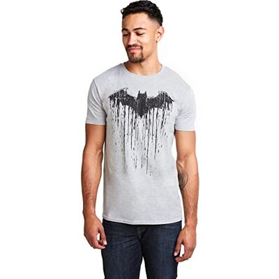 DC Comics herr Batman färg T-shirt, Sport grå, L DC Comics herr Batman färg T-shirt, Sport grå, L