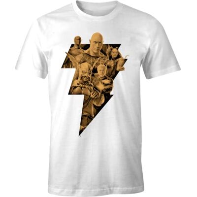 DC Comics MEBLADMTS007 T-shirt, vit, XXL herr, Vitt och blått, XXL DC Comics MEBLADMTS007 T-shirt, vit, XXL herr, Vitt och blått, XXL
