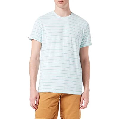 TOM TAILOR Herr T-shirt med ränder 1031588, 29787 White Mint Haze Inject Stripe, XXS TOM TAILOR Herr T-shirt med ränder 1031588, 29787 White Mint Haze Inject Stripe, XXS