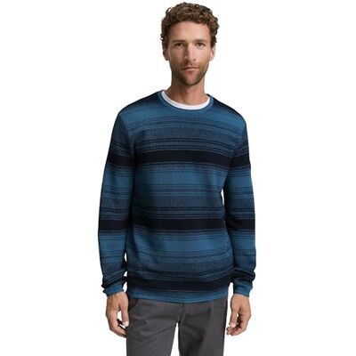 TOM TAILOR herrtröja, 36198 – Marin Teal Stripe Design, M TOM TAILOR herrtröja, 36198 – Marin Teal Stripe Design, M