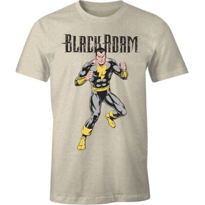 DC Comics T-shirt herr, Naturlig, XXL DC Comics T-shirt herr, Naturlig, XXL