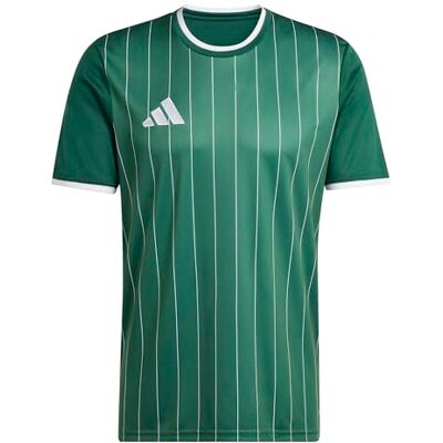 adidas herr Entrada26 Graphic Jersey Shirt, team dark green/white, M adidas herr Entrada26 Graphic Jersey Shirt, team dark green/white, M