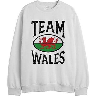 REPUBLIC OF CALIFORNIA "Team Wales" UXREPCZSW051 Sweatshirt för män, vit, storlek S, Vitt och blått, S REPUBLIC OF CALIFORNIA "Team Wales" UXREPCZSW051 Sweatshirt för män, vit, storlek S, Vitt och blått, S