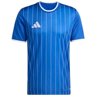 adidas herr Entrada26 Graphic Jersey Shirt, team royal blue/white, XS adidas herr Entrada26 Graphic Jersey Shirt, team royal blue/white, XS