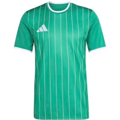 adidas herr Entrada26 Graphic Jersey Shirt, team green/white, XS adidas herr Entrada26 Graphic Jersey Shirt, team green/white, XS